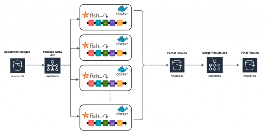 Summary of workflow